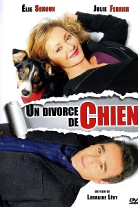 Un divorce de chien